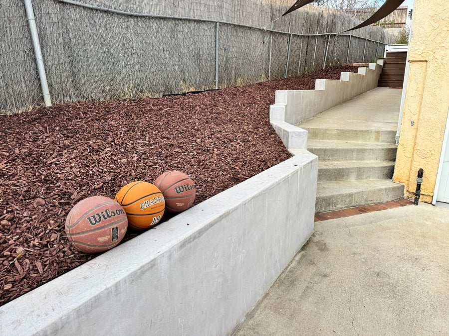 Basketball hoop in driveway