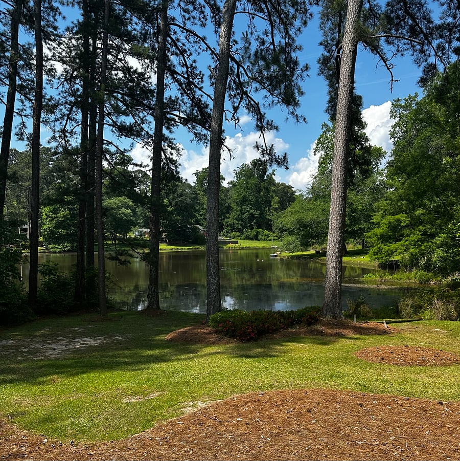 Lake view
