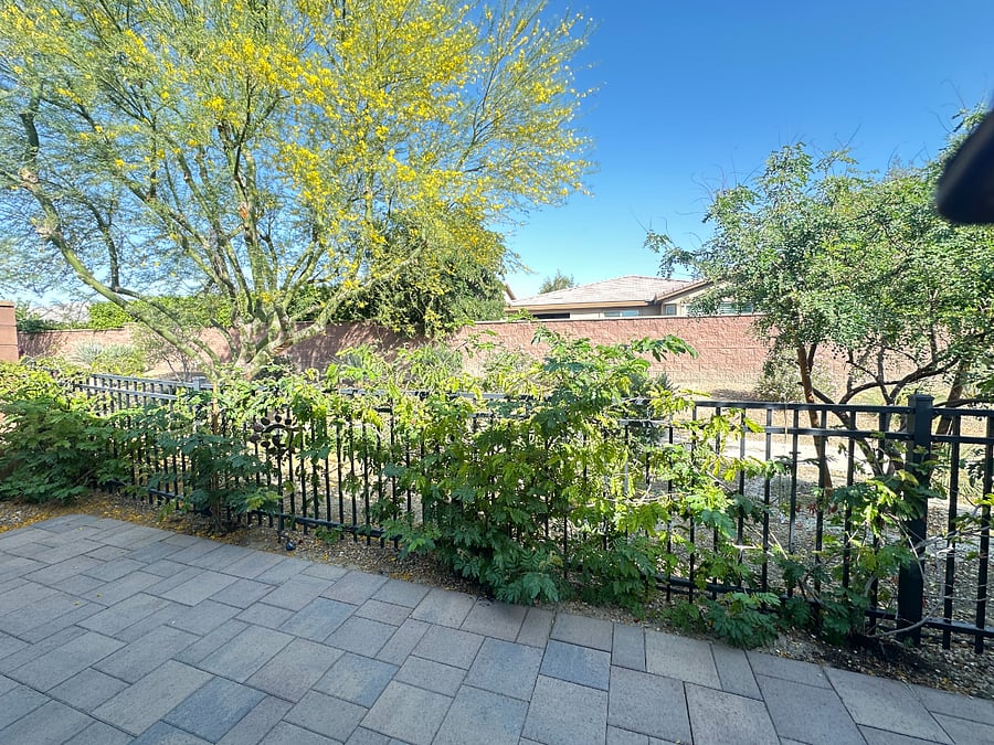 View from our back patio, overlooking open space and walking trail - so peaceful!