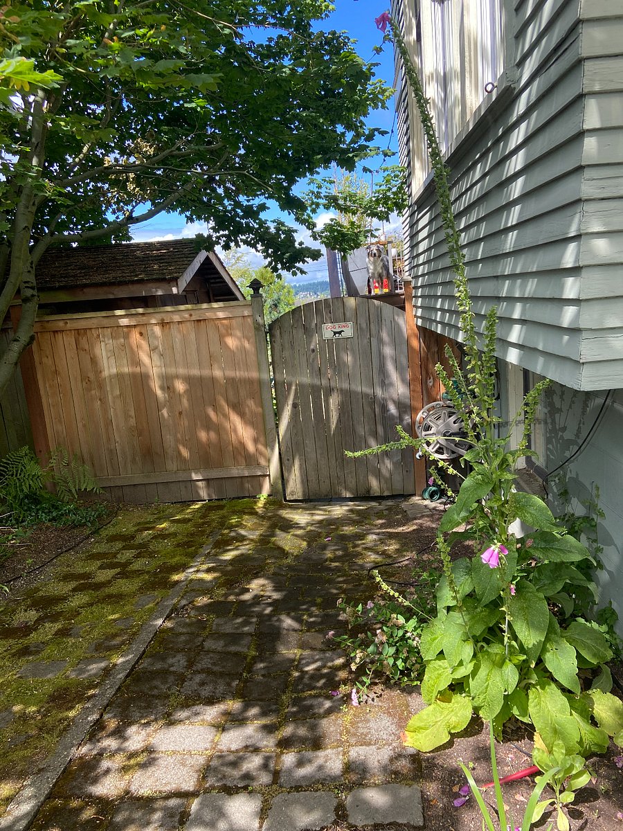 Walkway to fenced in backyard (latched gate has sign-dog crossing). Drive way and interior walkway have ground lighting and the backyard has a motion light. 