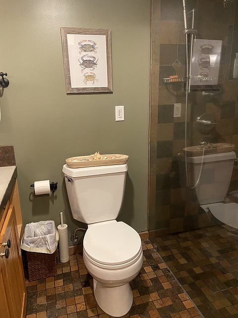 Shower with glass divider to the right. Artisan tile and Spa large shower-head as well as hand held shower option (and wall bar). 