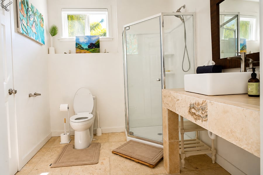 Downstairs Bathroom in new addition