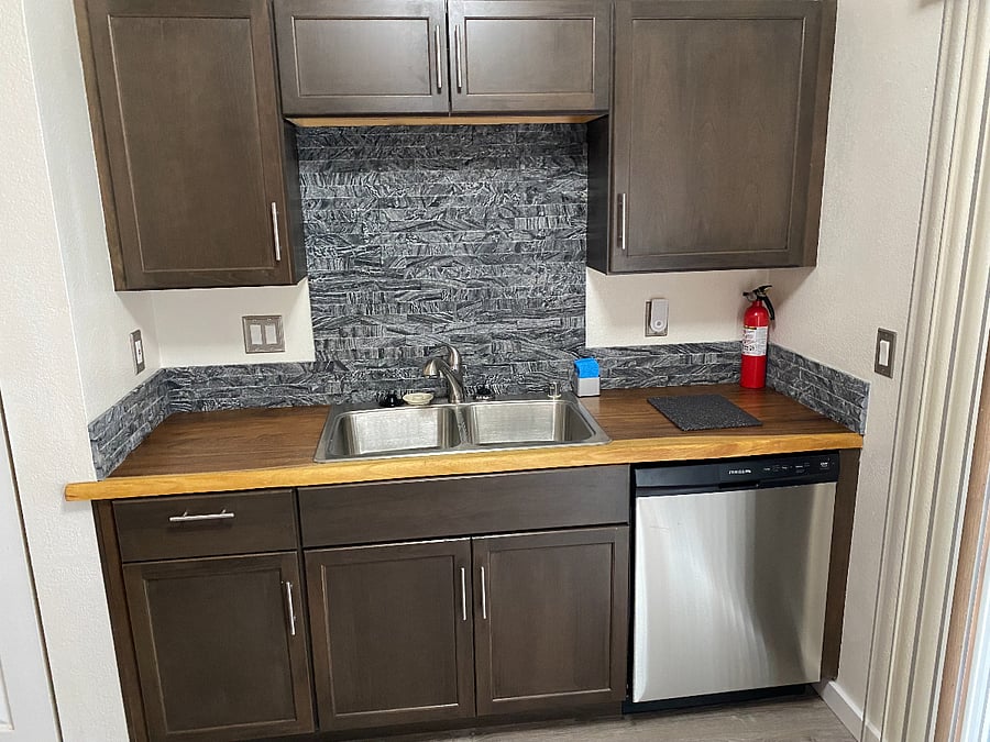 Kitchen Sink w/ Dishwasher