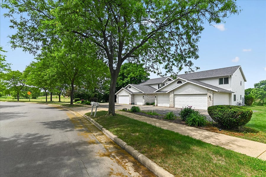 Tree-Lined Charm, Endless Relaxation