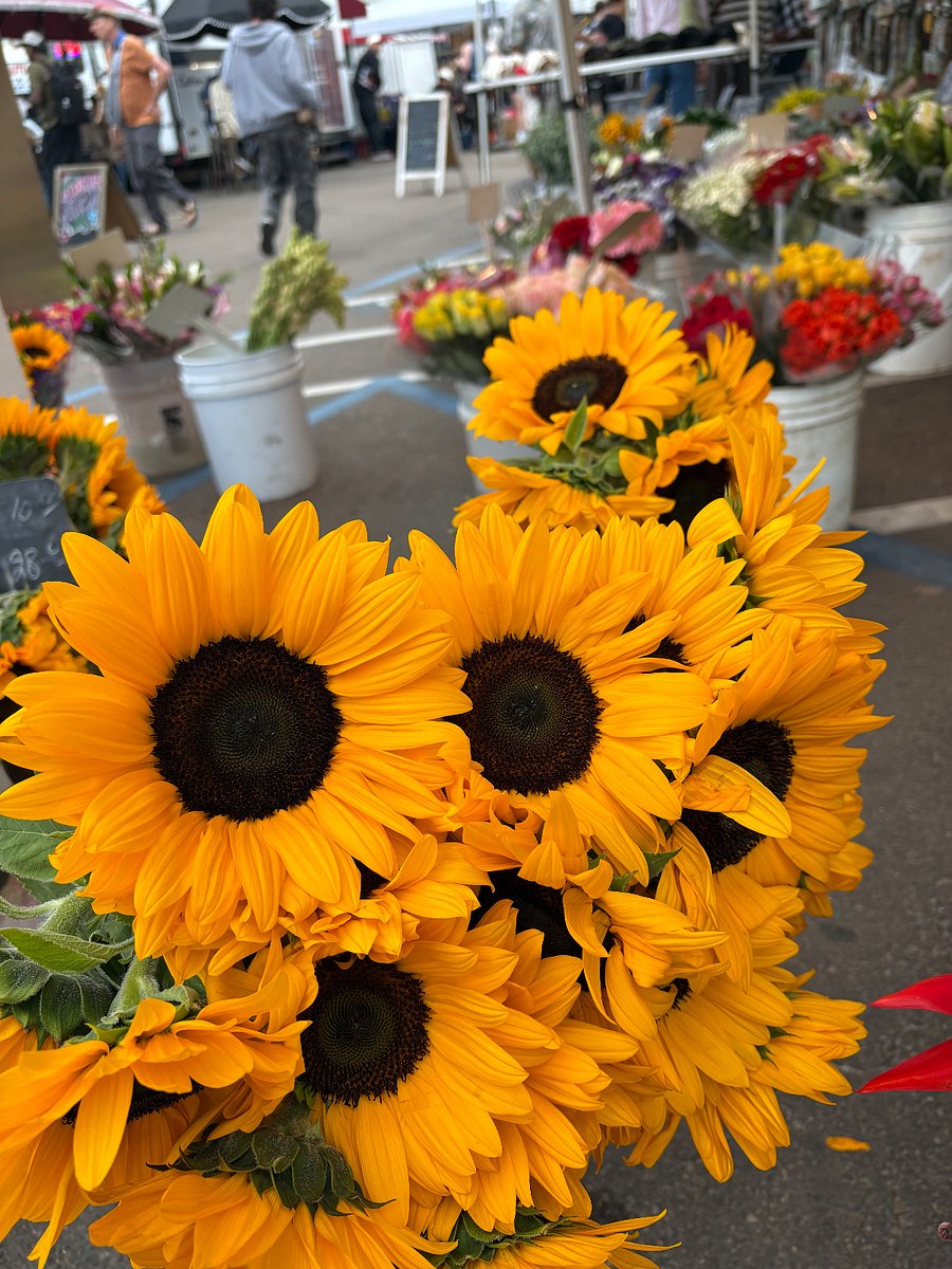 Head over to OB farmer's market on Wednesday afternoon