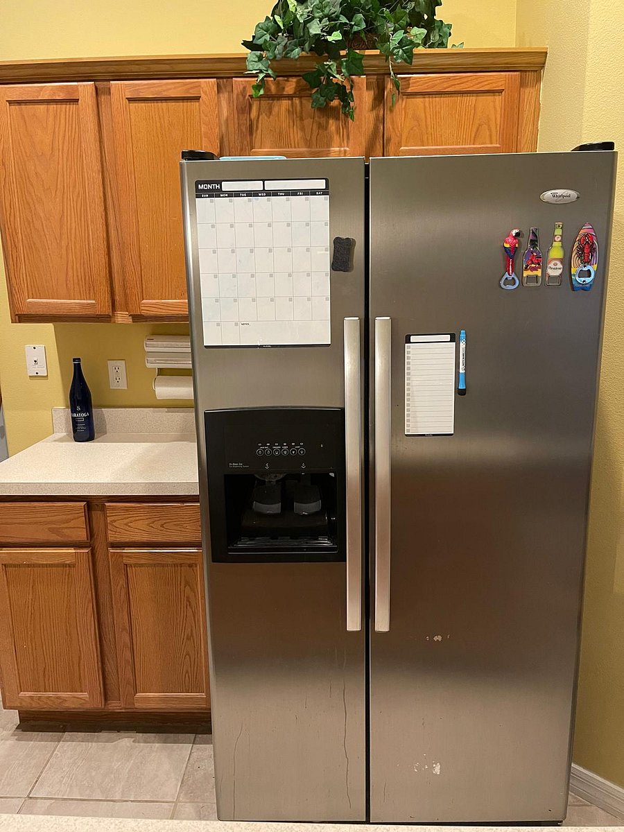 Fridge and Freezer