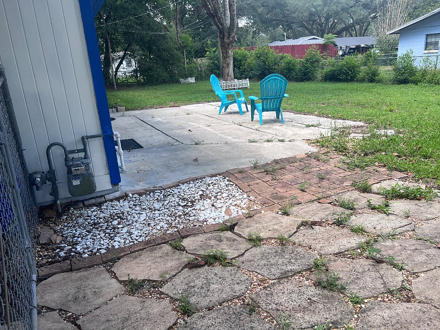 Back yard