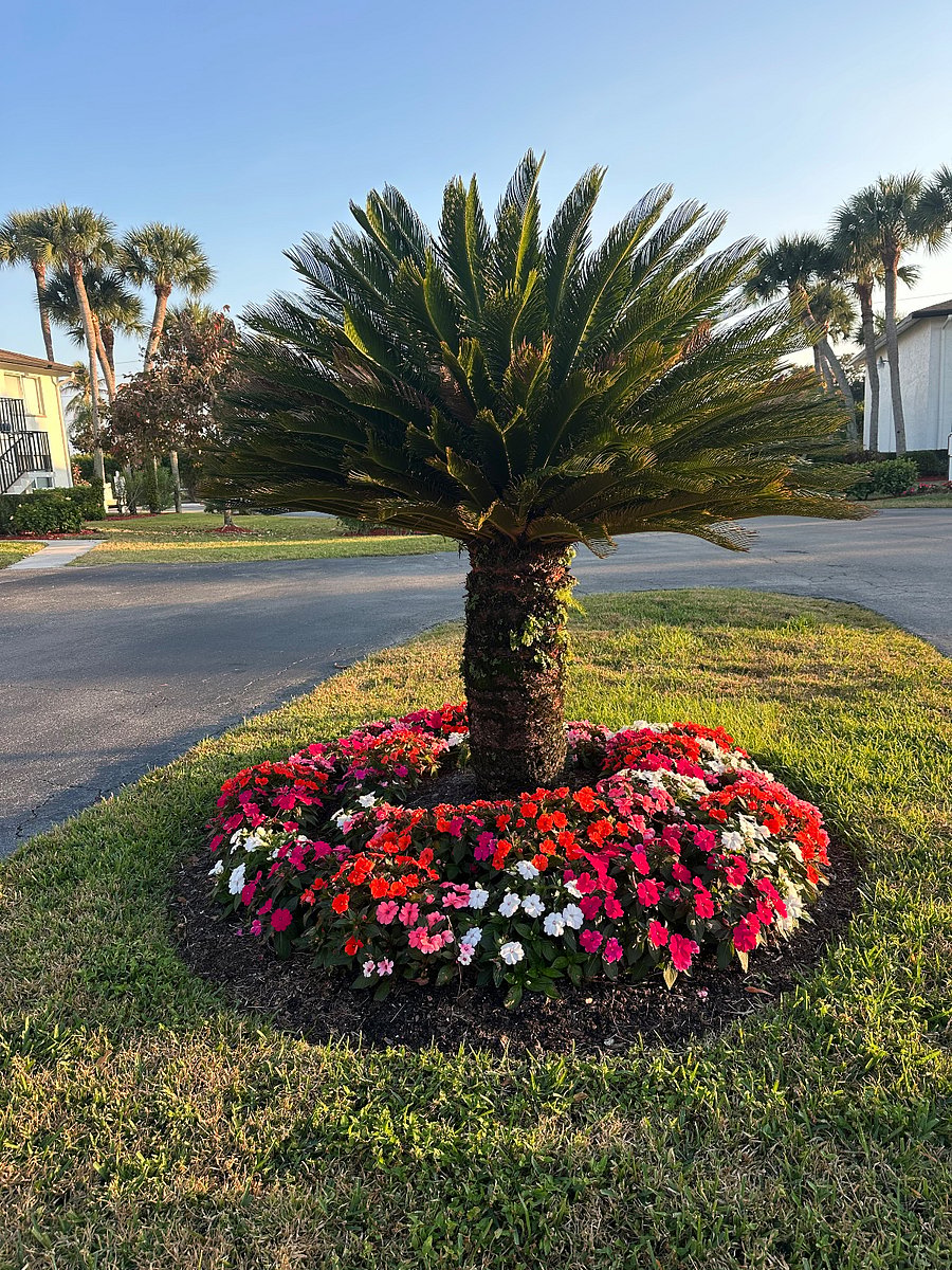 Exterior landscaping