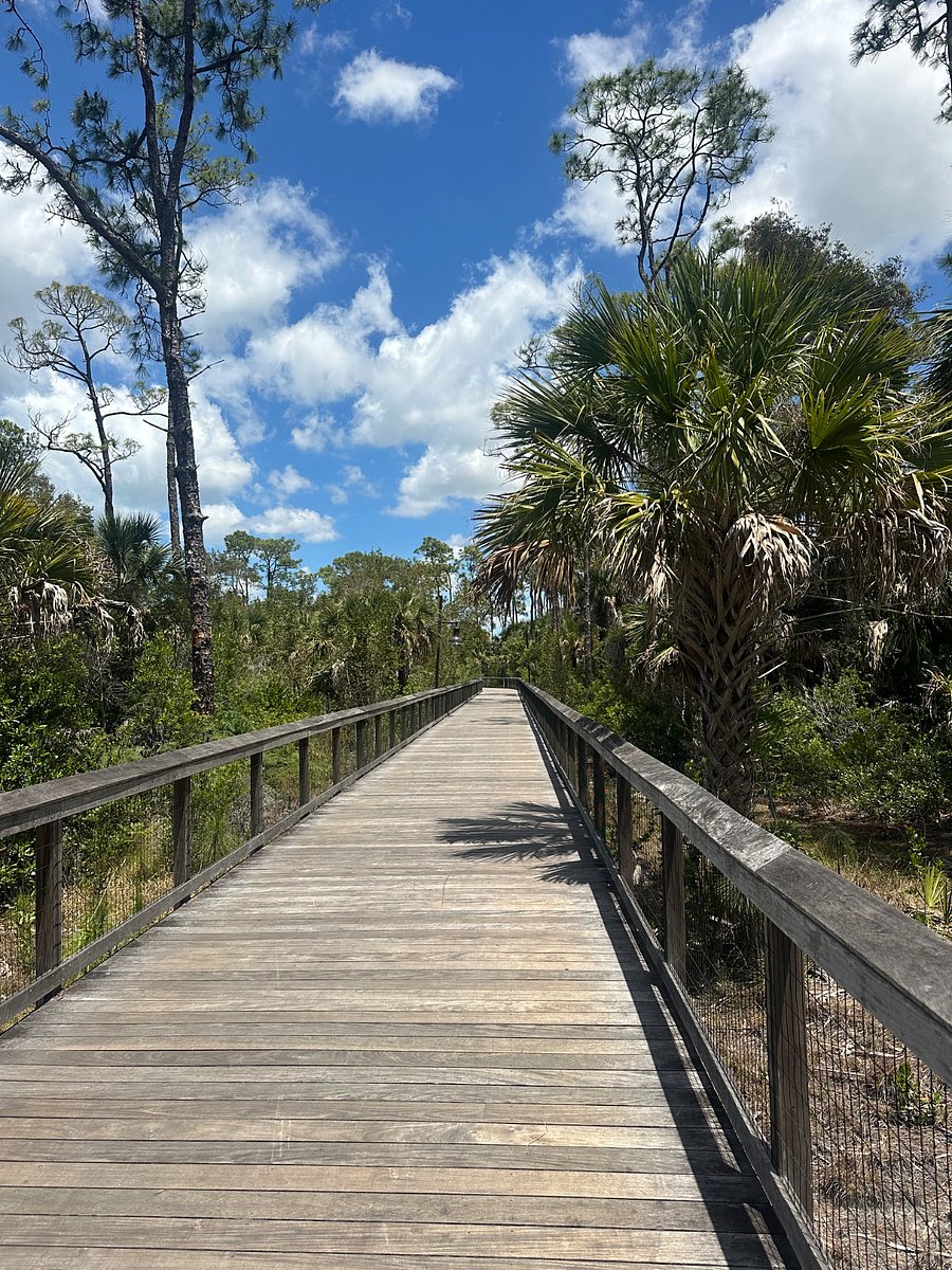One of the bike bridges in Gordon River Greenway Park