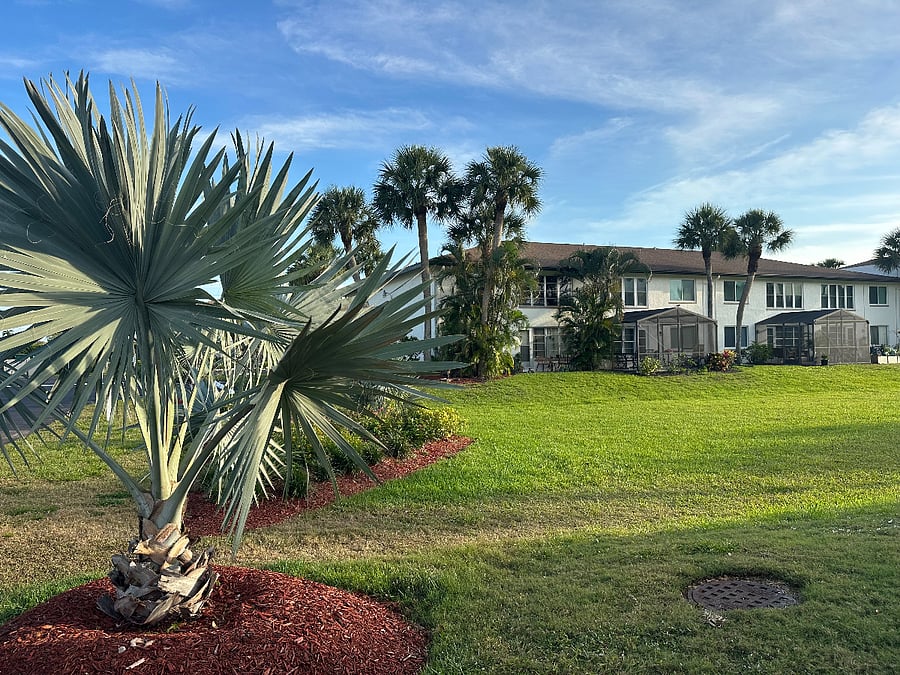 Open space in back of the condo