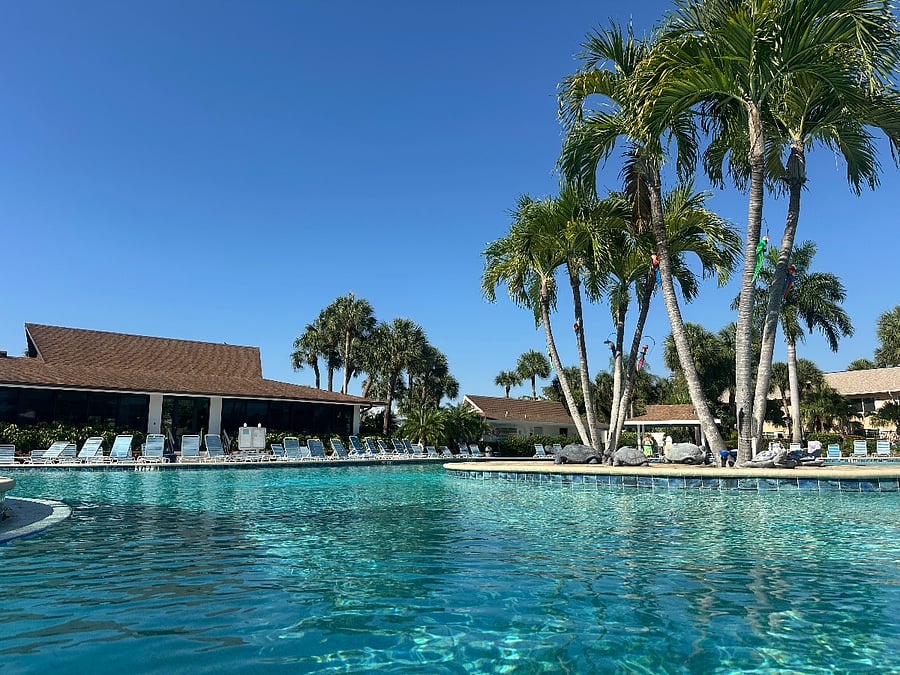 View from the pool