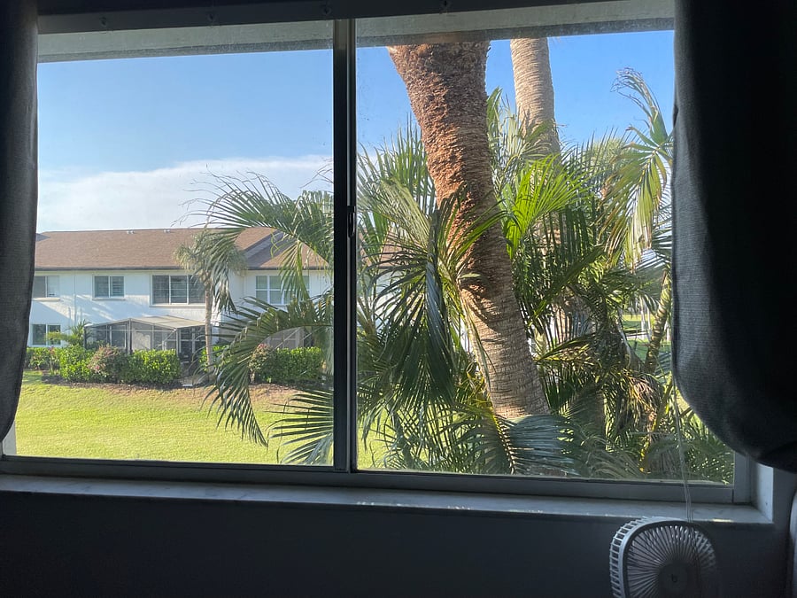 Primary bedroom window view
