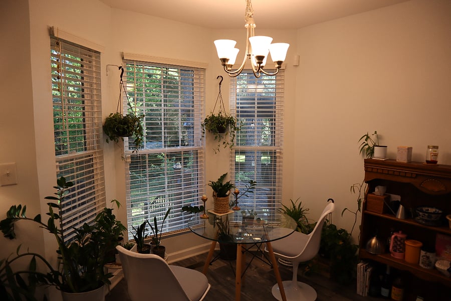 Furnished Finder property 999682_1 photo 5