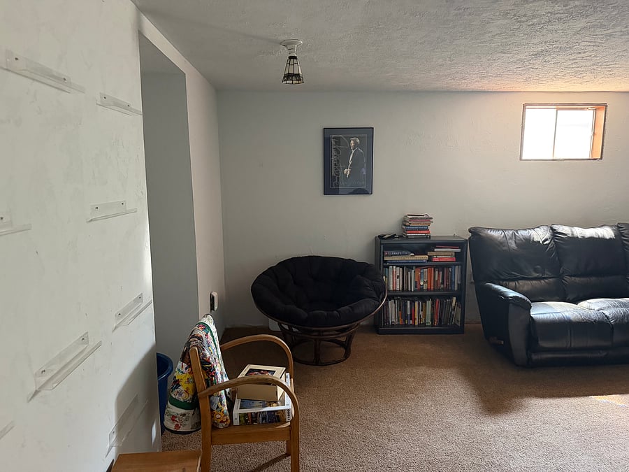Basement - includes couch, chairs, bookshelves, weights, ping pong table, karaoke machine, laundry, bathroom, owner storage space