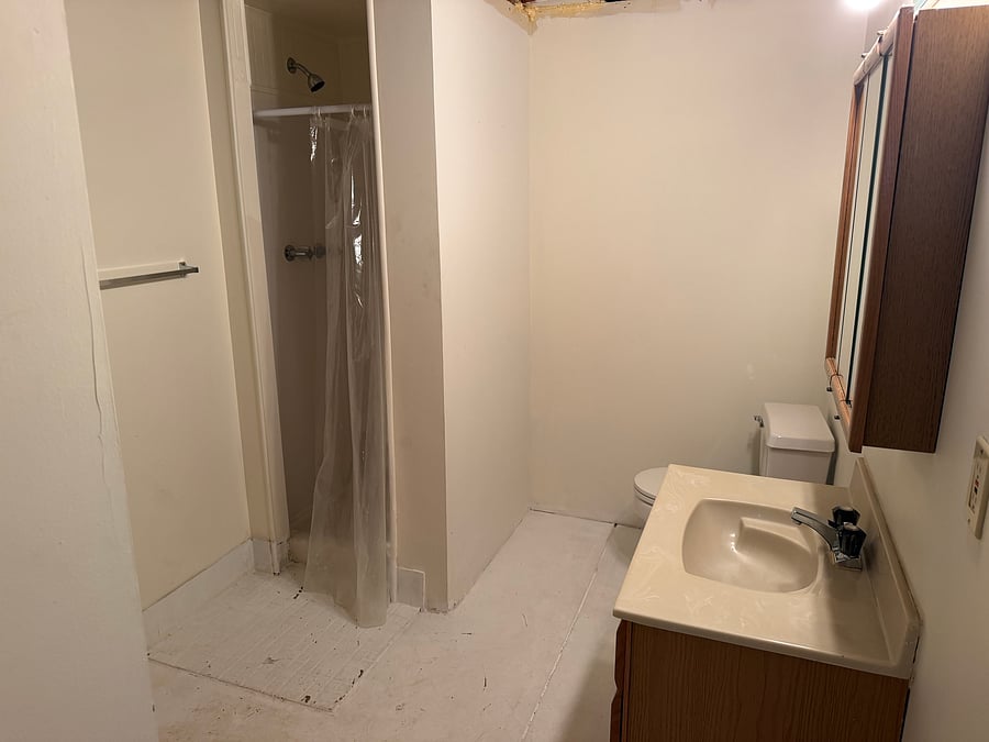 Basement bathroom: shower stall, sink, toilet, unfinished ceiling and floor