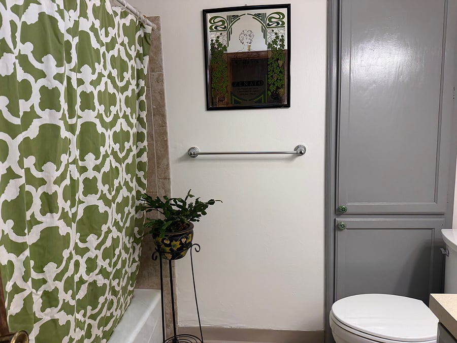 Main bathroom - includes shower/tub 