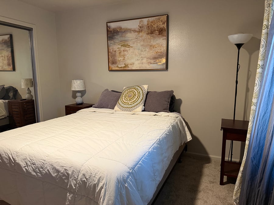 Main bedroom - Queen sized bed, closet organizer, smart TV