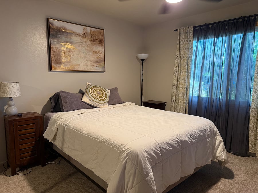 Main bedroom - queen sized bed, closet organizer, smart TV