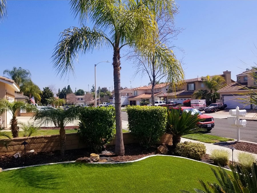 Front yard