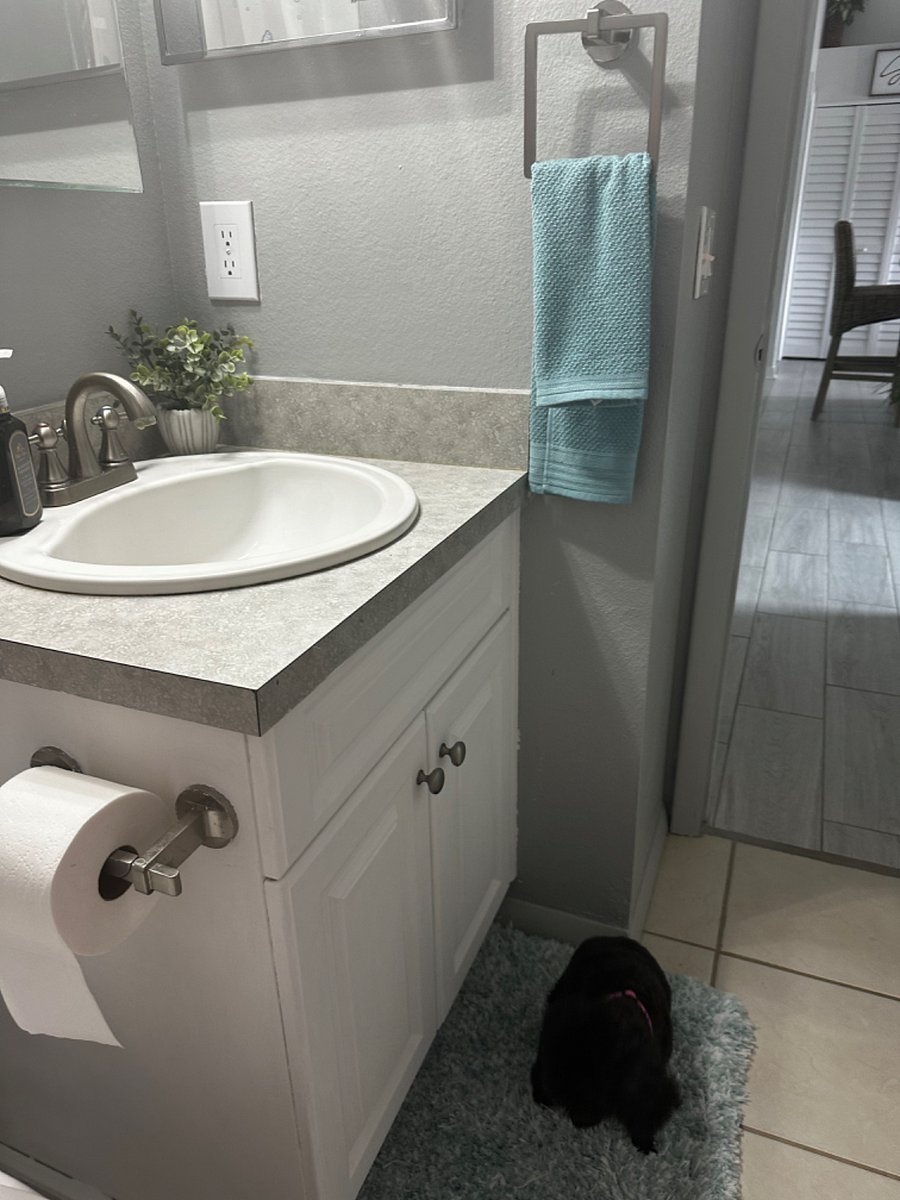 Furnished Finder property 743187_1 photo 7