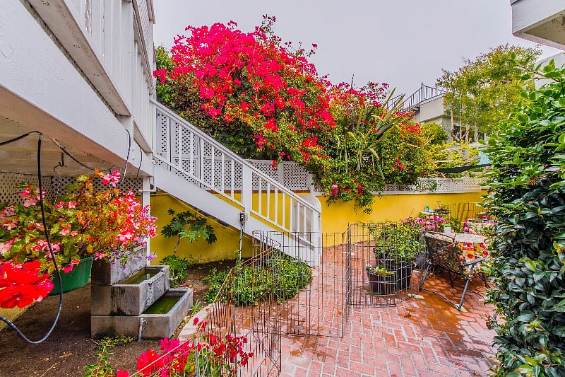 Garden area