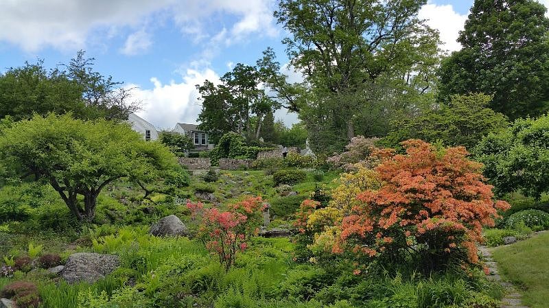 Hay Estate gardens