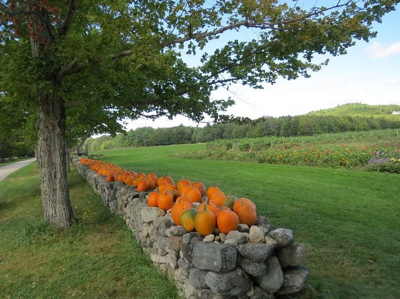 Harvey Farm (aka Musterfield Farm) open to public,  Sutton 