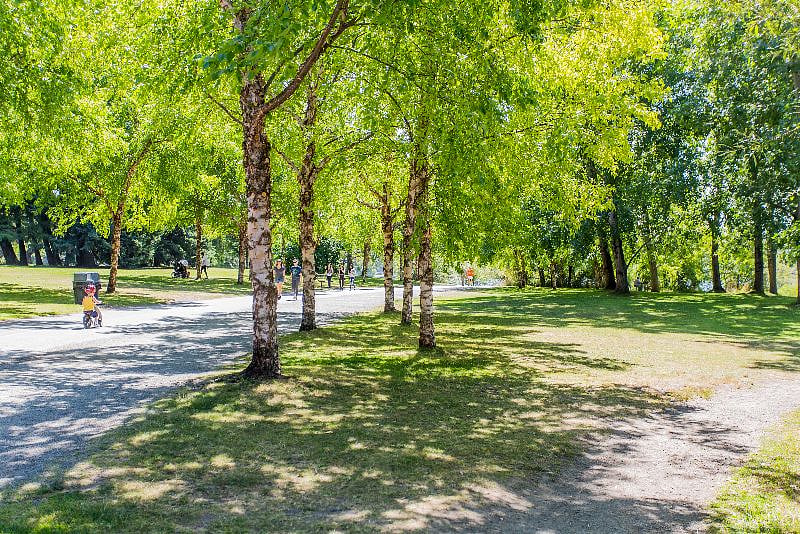 Greenlake - 5 min walk - running, jogging, walking on the 2.8 mile paved trail