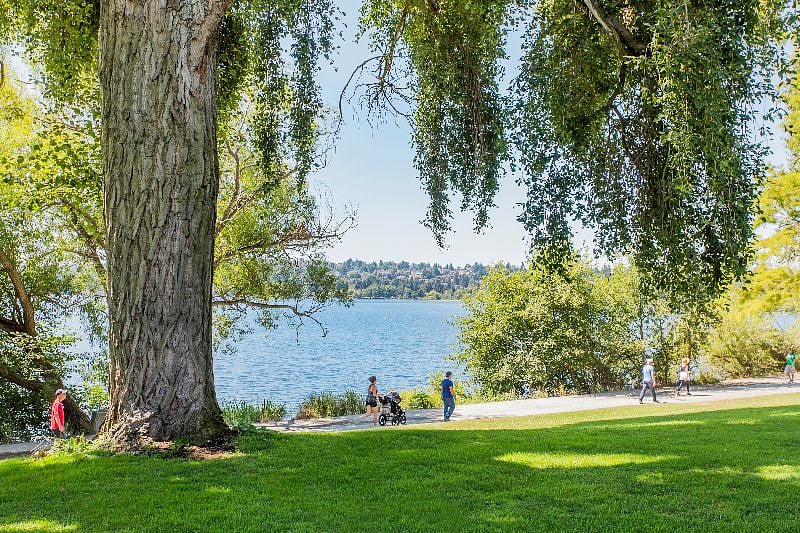 Greenlake is the most frequented park in the state, but only a 5 min walk from our house.