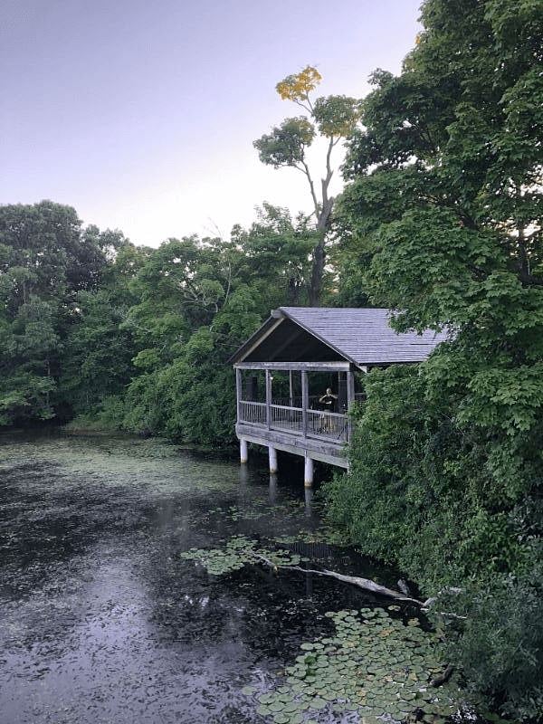 Sari's Sanctuary on the Saugatucket River behind house