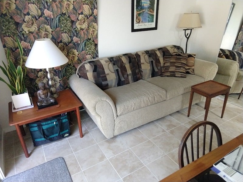 Entry room with couch and dining table