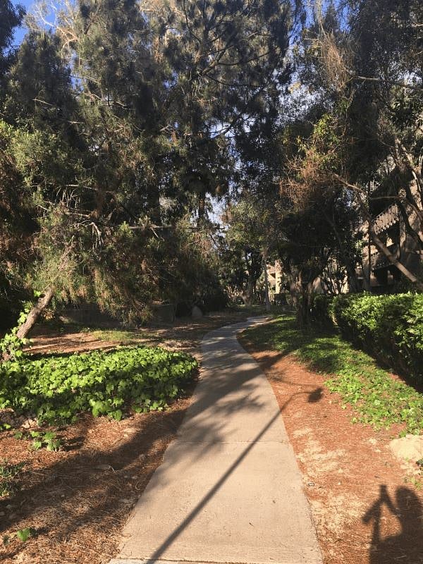 Lush walkway to the Large Pool