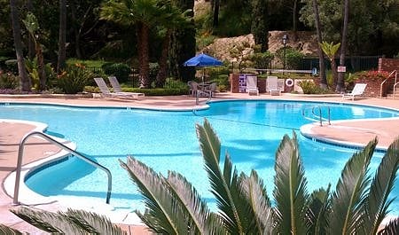 Large pool with jacuzzi