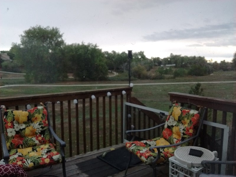 OPEN SPACE VIEW FROM BACKYARD