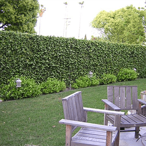 Furnished Finder property 190232_1 photo 13