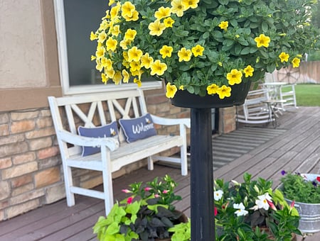 property_photo