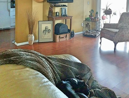 property_photo