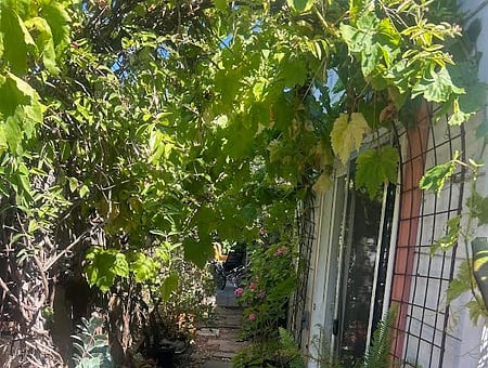 property_photo