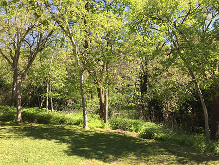property_photo