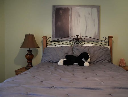 property_photo