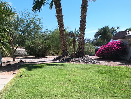 property_photo