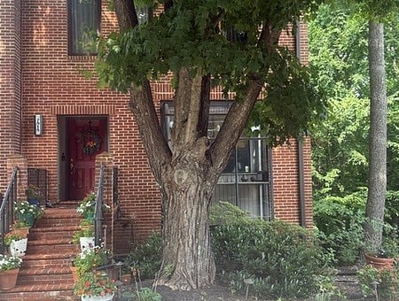 property_photo