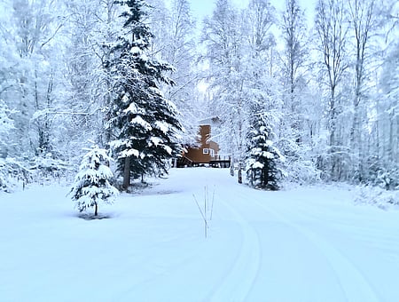 property_photo