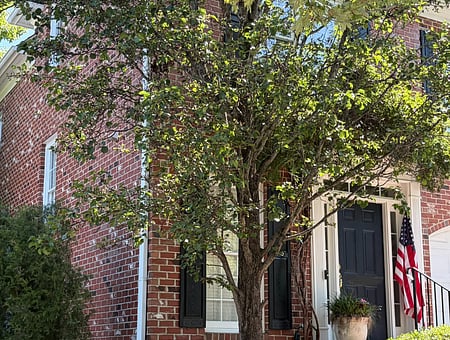 property_photo