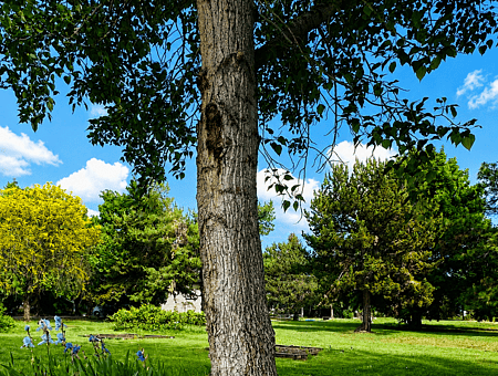 property_photo