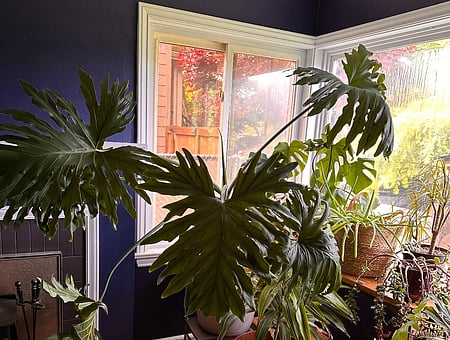 property_photo