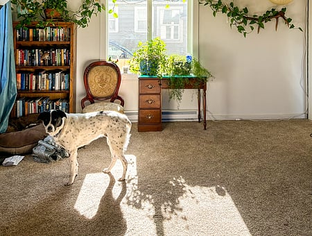 property_photo
