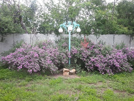 property_photo