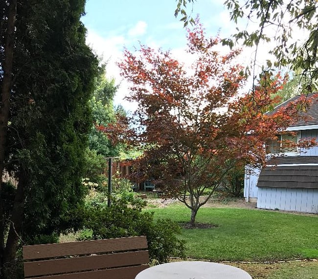 property_photo