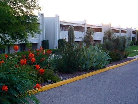 property_photo